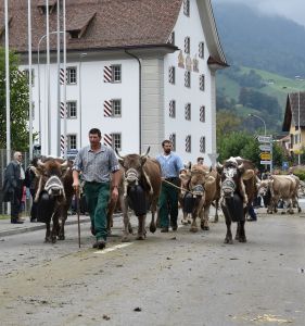 023Heifahrt